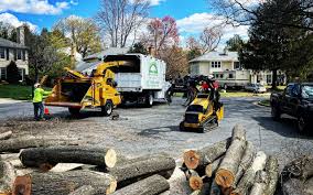 Best Artificial Turf Installation  in Delhi Hills, OH